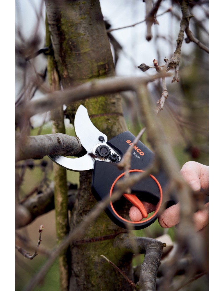 Sécateur électrique BCL23