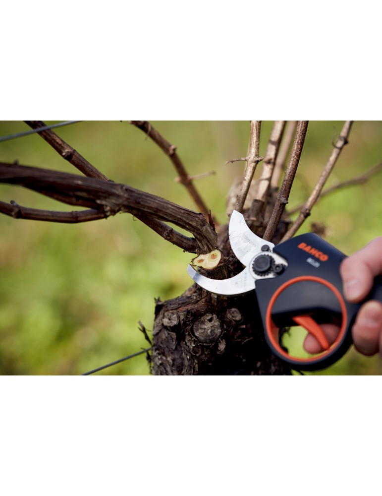 Sécateur électrique BCL23