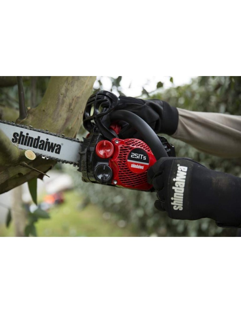 Tronçonneuse élagueuse 251TS/25