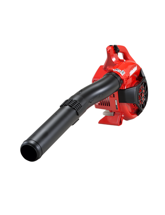 Souffleur à main EB252